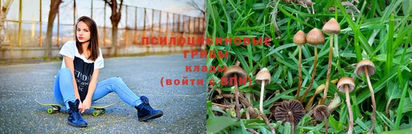 mix Зерноград