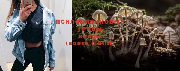 скорость mdpv Заводоуковск